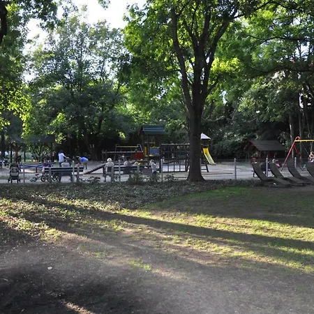 Mazowiecka38 *
